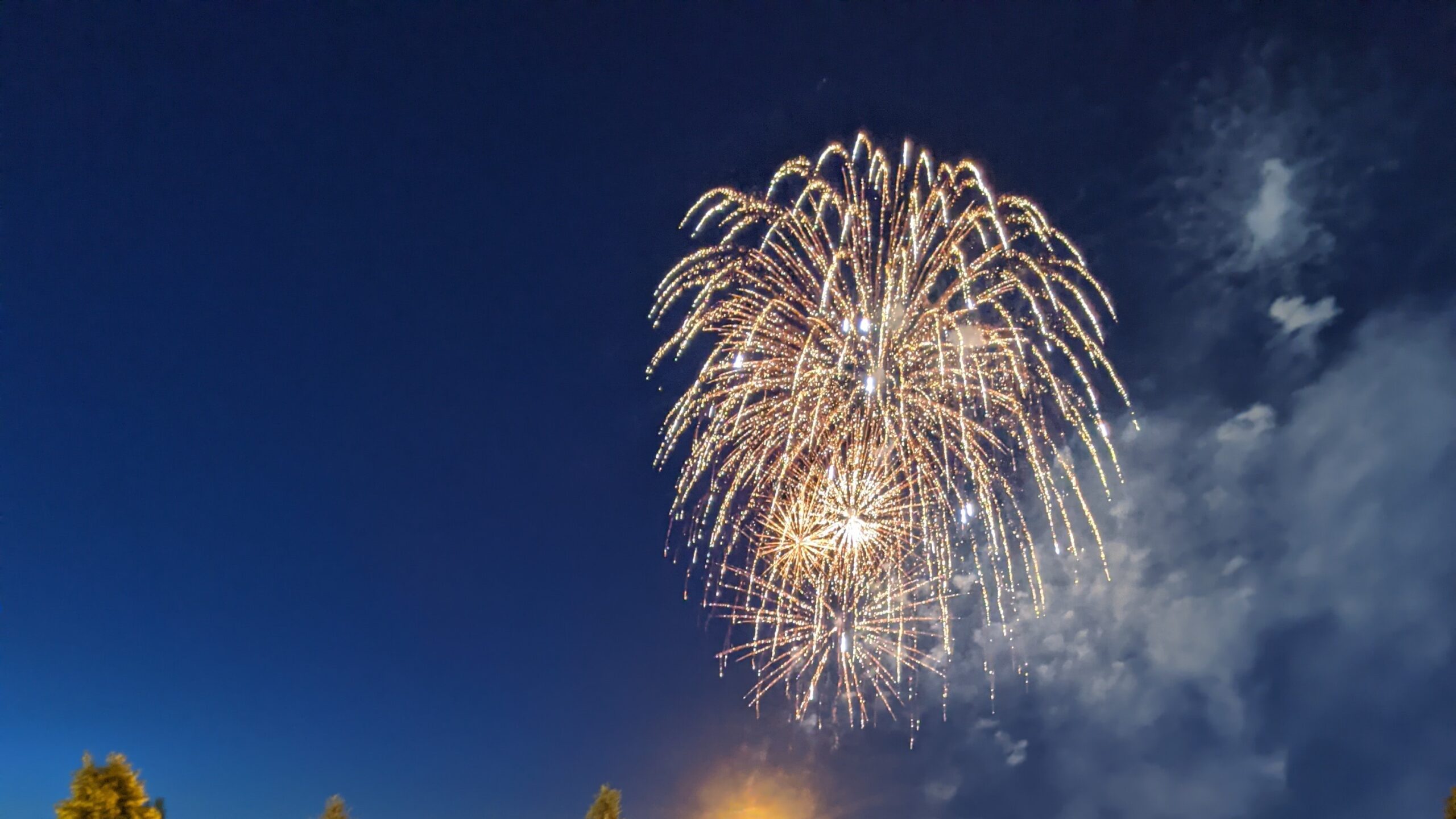 Fireworks over dark indigo sky